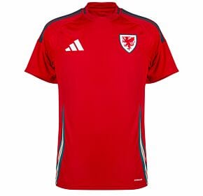 Wales T-shirt