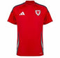 Wales T-shirt